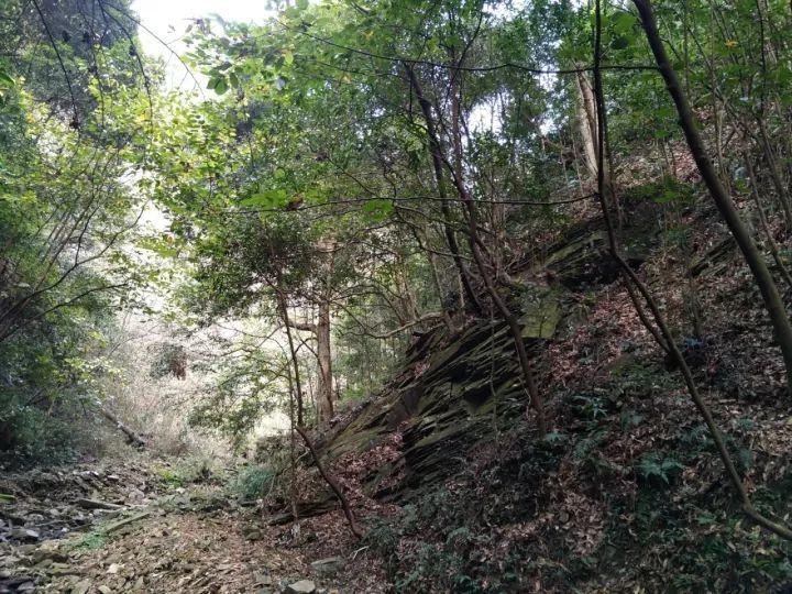 200余件王学仲精品力作在太仓美术馆展出