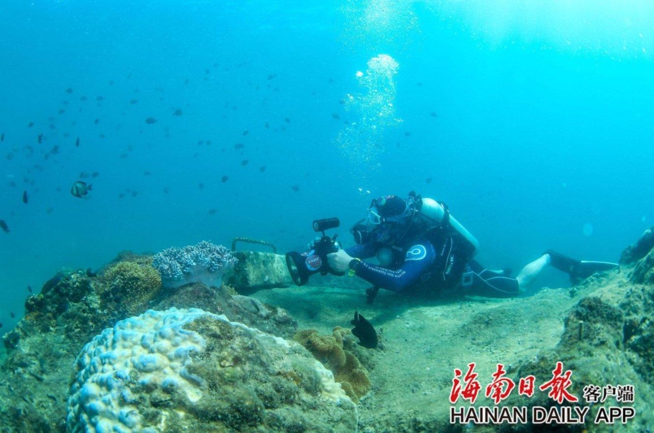 亲子沟通是每位家长的一门必修课，什么才是与孩子沟通的正确方式？游戏画面