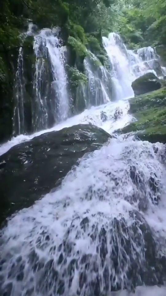吉鹿力问答社区,快来发现更多介绍不了自己的缺点怎么办就是脸上的很难受?的乐趣!