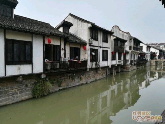 植物大战僵尸19
