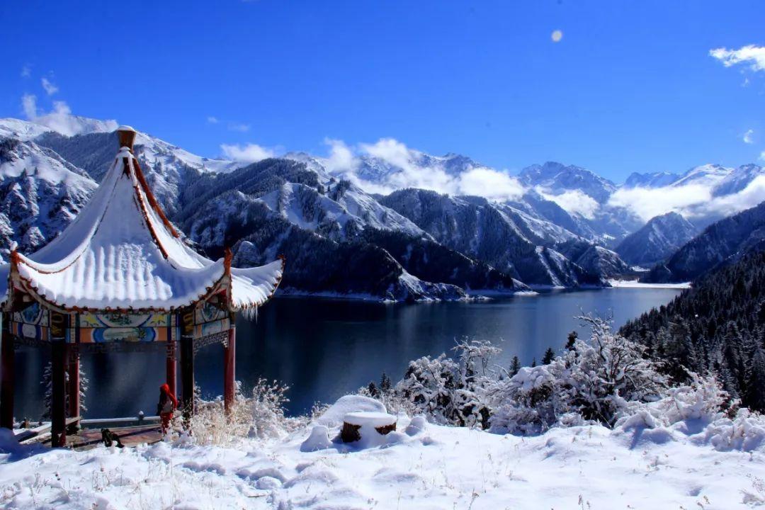 去哪可以买棉柔巾？要划算的才行的啊？