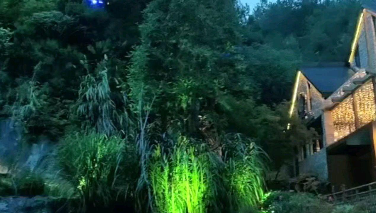 欧洲史研读:路易九世为什么被称为“战争之王”?